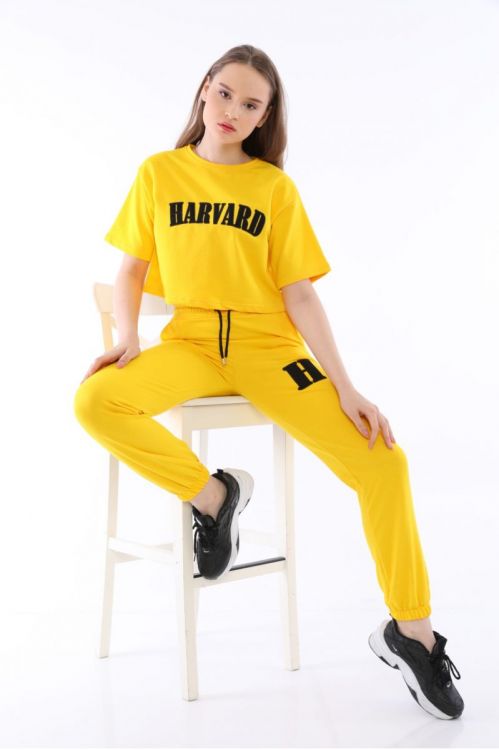 Compleu-Dama-Harvard-Galben.jpg