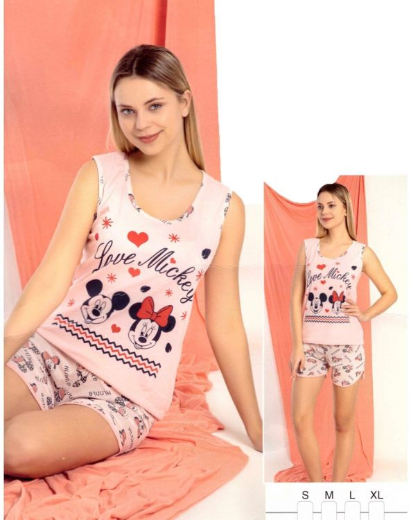 Pijama-dama-AnimatedPJ-Roz-Pal.jpg