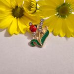 Brosa martisor buburuza