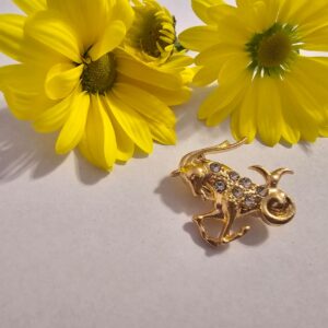 Brosa martisor zodie capricorn