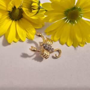 Brosa martisor zodie scorpion