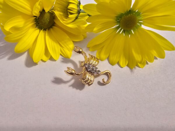 Brosa martisor zodie scorpion