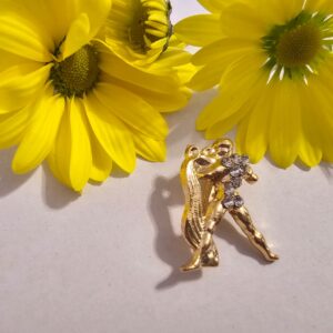 Brosa martisor zodie varsator