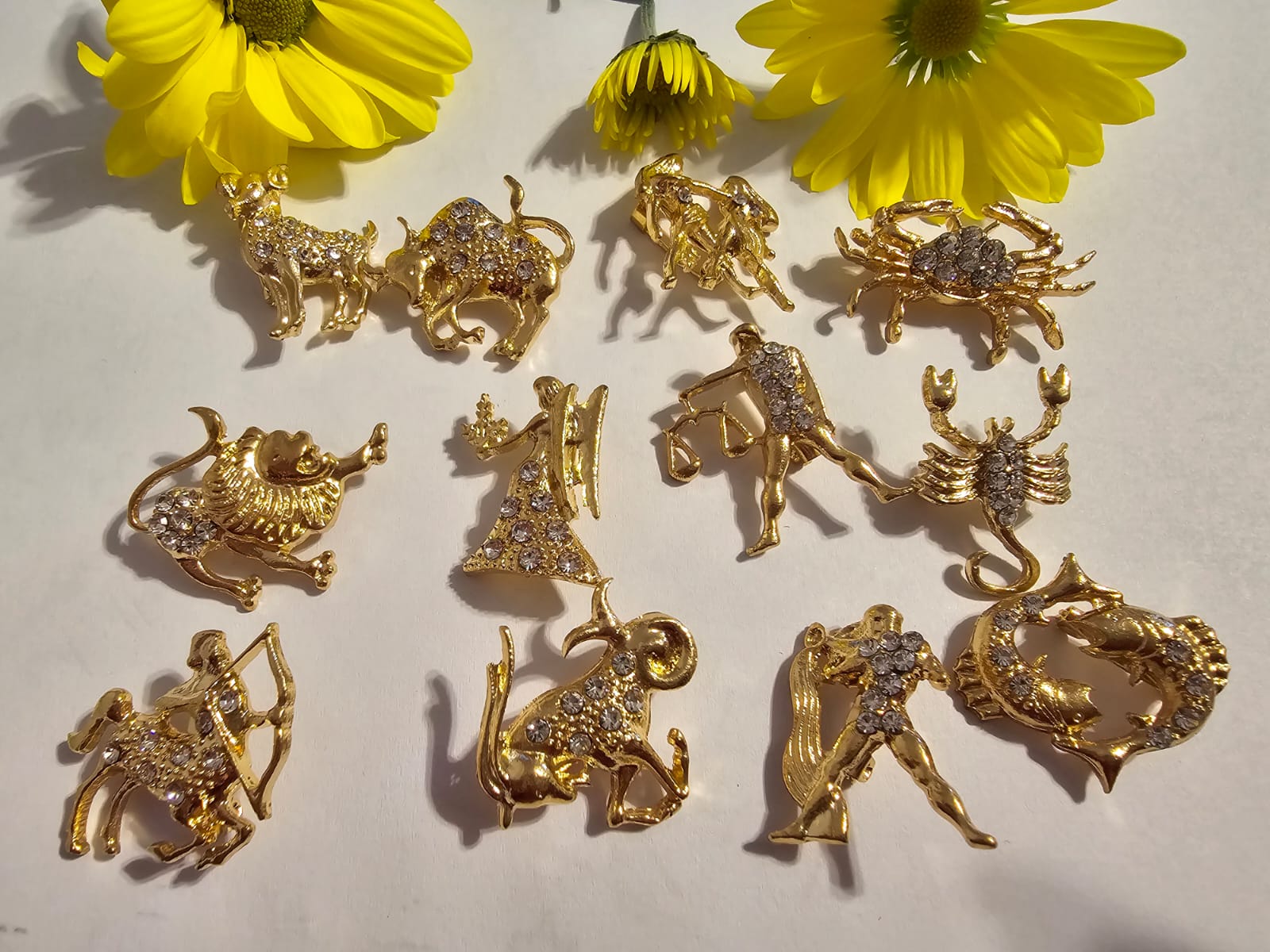 Brosa martisor zodie